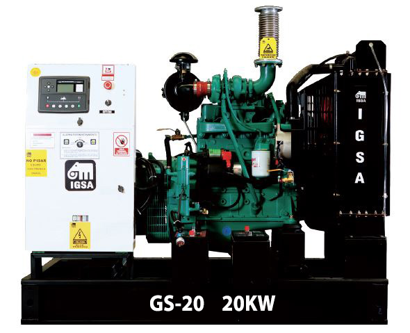 Grupo Electrogeno GS 20